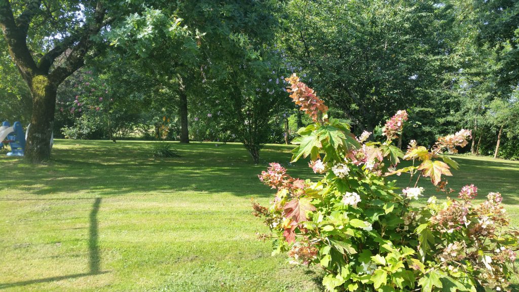 Tonte pelouse, tailles diverses, entretien d'espaces verts